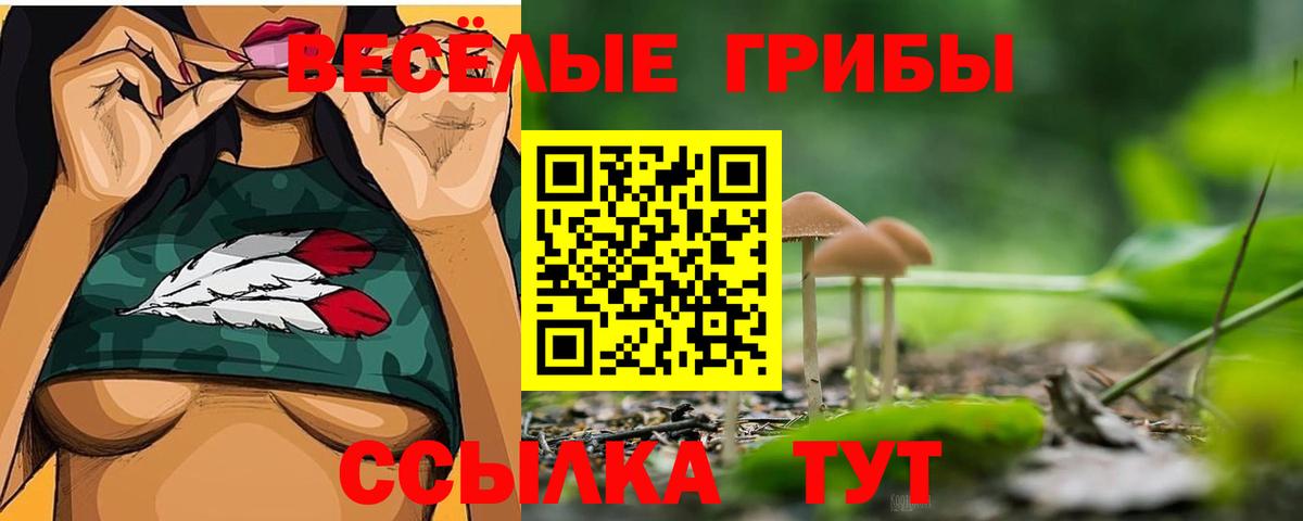 Галлюциногенные грибы Cubensis Минусинск